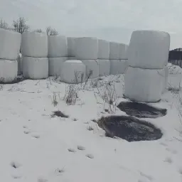 Sianokiszonka, Trawa Z Koniczyna, Mieszanka