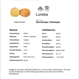 15t Luneba Za Pflanzgut Anzubieten.