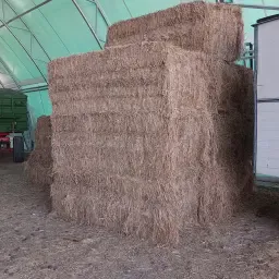 Biete Luzerneheu Trocken Ernte 2025
