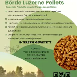 Luzerne Pellets in Big Pack
