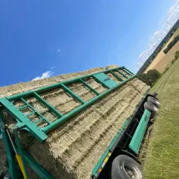 Large Hay Bales: Square &amp; Round | First Cut Quality