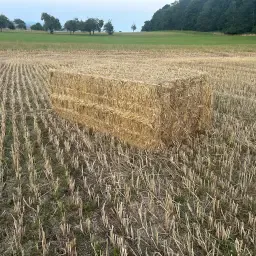Oat, Wheat &amp; Barley Straw For Sale