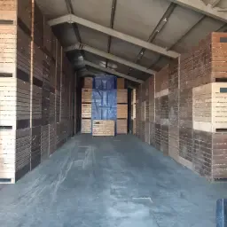 Rode uien Red Ray - 140 ton in kisten