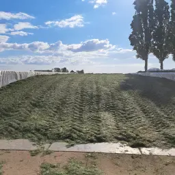 Kuilgras Aangeboden 939vem 222ret 24.1ds