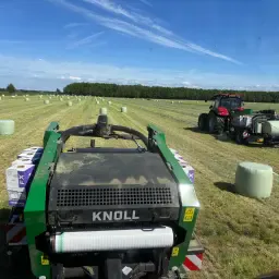 Doorlopend Op Zoek Naar Stro