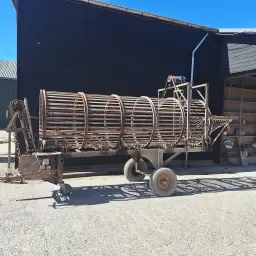 Rijniger Voor Onder Andere Knolselderij.