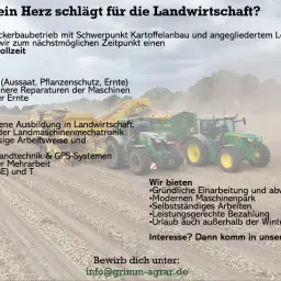 Mitarbeiter/in in Vollzeit Zum Nachstmoglichen