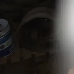 Te Koop Bladveren Veenhuis Bemester