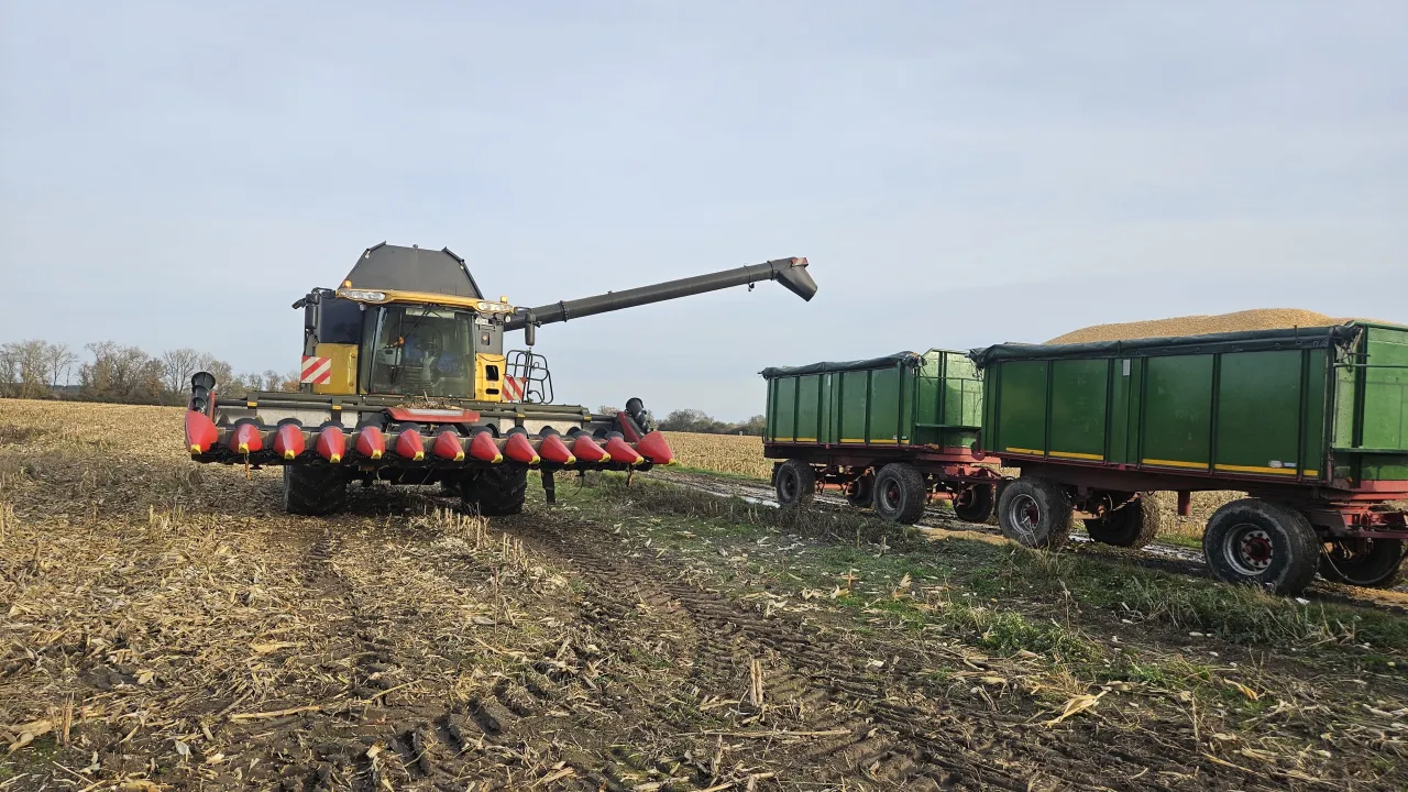De gorter gmbh