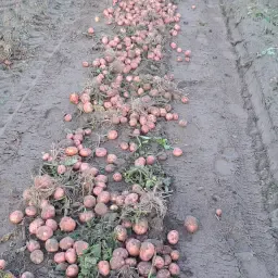Vanaf Nu Hebben Wij Naast