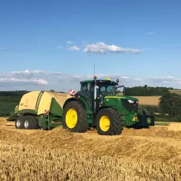 Bieten Wintergersten- Und Weizenstroh in