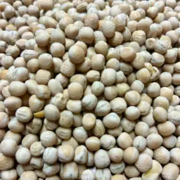 Astronaute Summer Fodder Pea – Soil Improvement Cover Crop