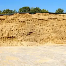 100t Corn Silage for Sale | Premium Quality 2025 Harvest