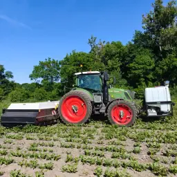 Spotspraying Service for Chicory, Potatoes, Onions, Grass