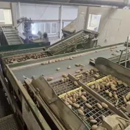 Used Schouten Sorting Line 2012 | Agricultural Machinery