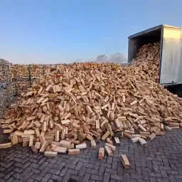 Bulk Firewood: Oak, Beech, Alder | Clean, 25cm Cut for B2B