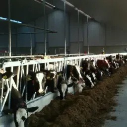 Cattle Manure Code 14 For Sale | 500m³ Agricultural Fertilizer