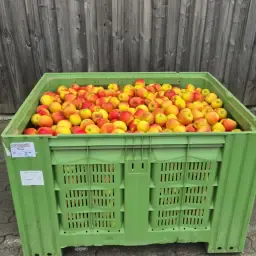 36 Ton Zoete Appels Te Koop: Gala, Elstar &amp; Meer