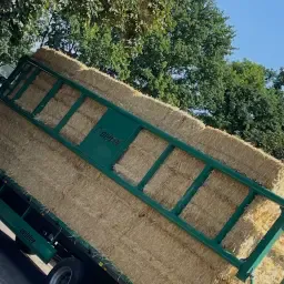 Grote Partijen Gesneden Gerstestro Balen Te Koop
