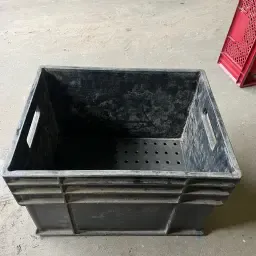 400 Aspergefusten te koop | Oogstkisten beëindiging teelt