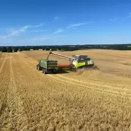 Maaidorsen op contract: Claas Trion 750TT – Efficiënt
