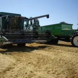 Fendt 6300 Combine For Sale – Efficient Harvesting