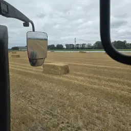 Barley &amp; Wheat Straw - Large or Small Bales | Friesland/Overijssel