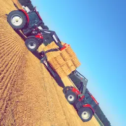 Seeking Field Straw: Buy Directly from Farmers
