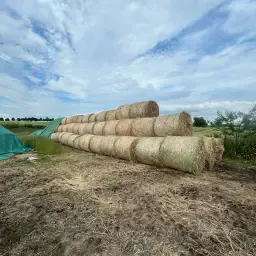 300 Organic Hay Round Bales, 125cm - High Quality Feed