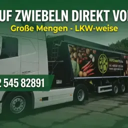 Gele &amp; Rode Uien gezocht – Agrarische Inkoop