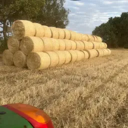 Rye Straw Round Bales for Sale - 1.5m Top Quality