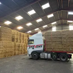 Stro te koop: Agrarisch ruwvoer &amp; bodembedekker