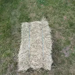 High-Density Hay Bales for Sale: Quality Livestock Feed
