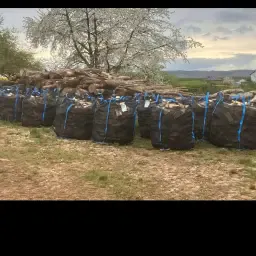 Oven-Dry Beech Firewood, Cut 25cm - Premium Quality