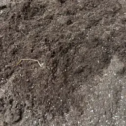 Used Potting Soil | Large Quantity 80m³ | Planting Ready