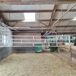 Decomatic Forcing Gate | 5.35m Aluminum | Dairy Goats Sheep