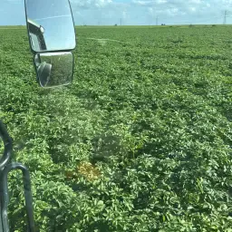 Wanted: Cattle Slurry Take-off &amp; Potato Land Rental 2026/27