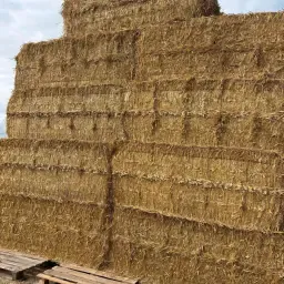 Strobalen | Vierkante Balen 2.30m | Direct van Erf/Veld