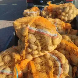 Lily Potatoes 45+ for Sale | Healthy, Calibrated