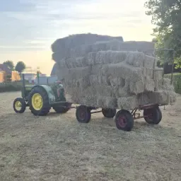 Small Hay Bales – Premium First Cut Hay Quality