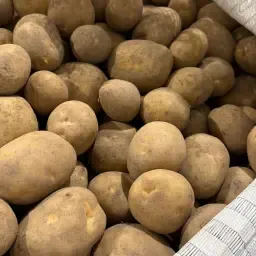 Colomba &amp; Soraya Edible Potatoes | Bulk &amp; Bags