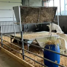 4 Rvs Hooiruiven Met Loop