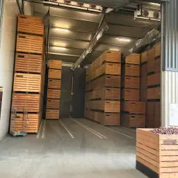 Barn Space for Rent: Organic Seed Onions with Cooling