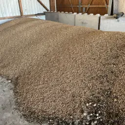 Veldbonen te Koop | Hoogwaardige Paardenbonen Aanbod