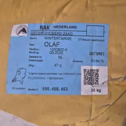 1650 kg Winter Wheat Seed 2025 - Olaf Variety