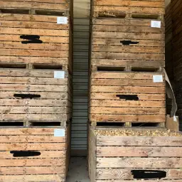 Used Barbarie "NL-Mass" Wooden Crates | Storage Boxes