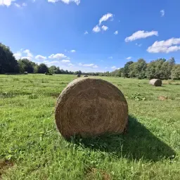 Hay from Nature Conservation Areas | 1st Cut 2026