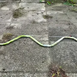 Gegolfde schoftbuizen (9x) voor ligboxen, 117,5cm
