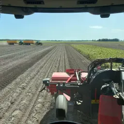 Pootaardappelland gezocht | Ruil gewassen | Noordoostpolder
