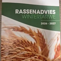 Wintertarwe Zaaizaad | NAK C1 Gekeurde Rassen